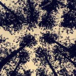 Meet your Posher, Rourke